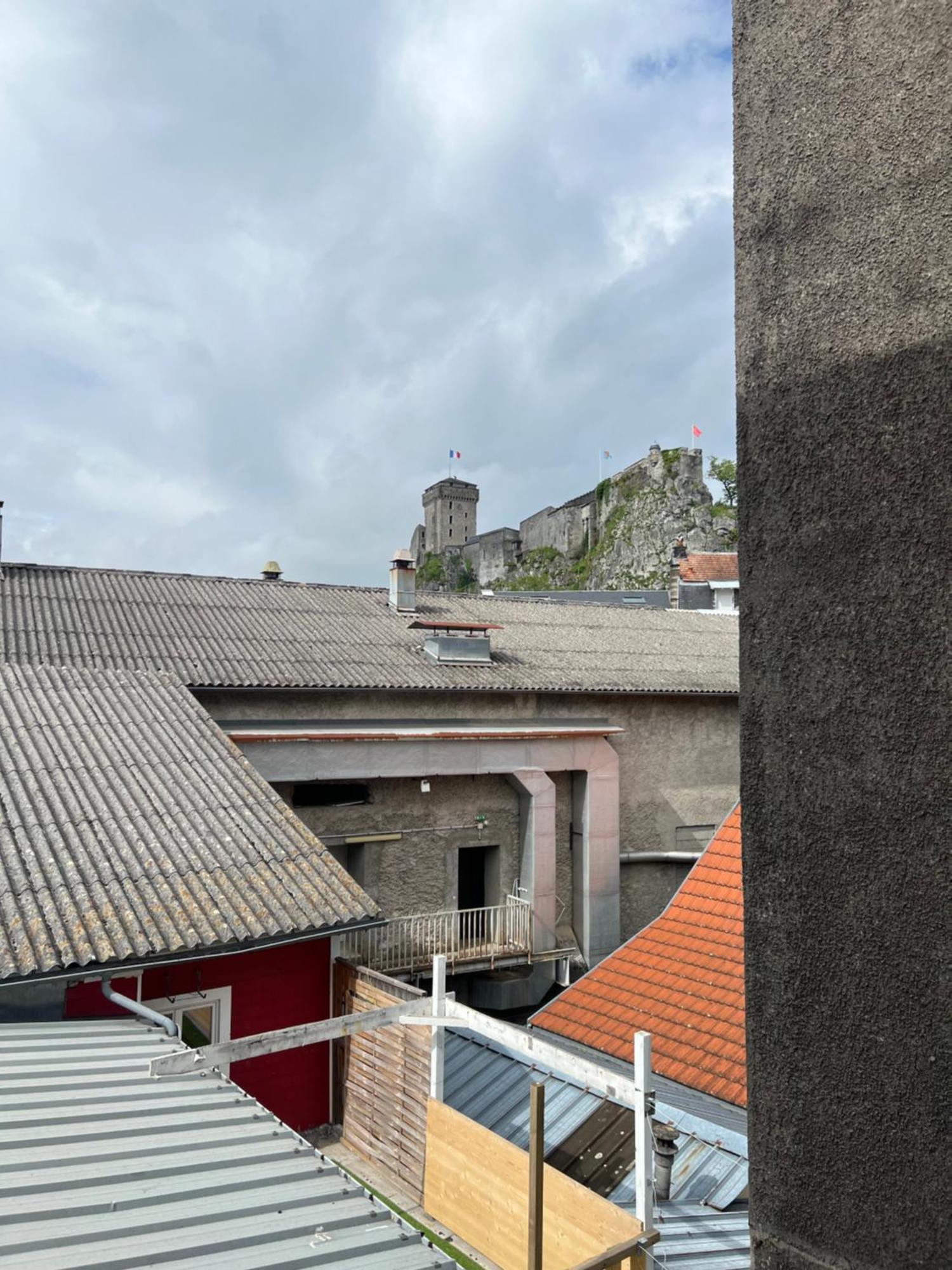 Residence Sainte Therese - La Villa Selva Lourdes Exteriör bild